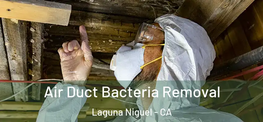 Air Duct Bacteria Removal Laguna Niguel - CA
