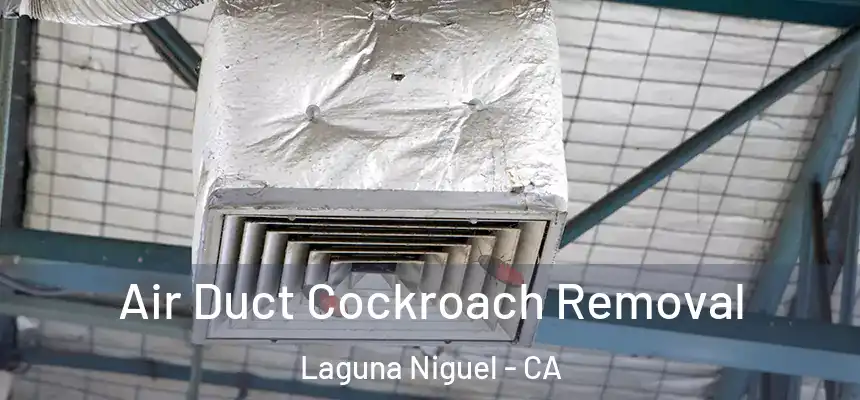 Air Duct Cockroach Removal Laguna Niguel - CA