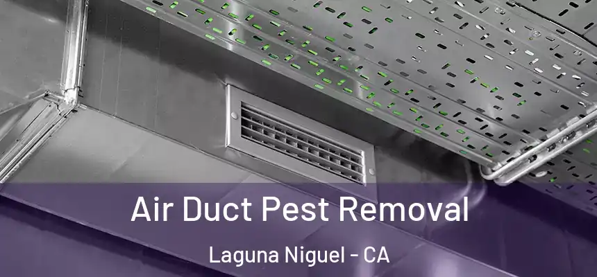 Air Duct Pest Removal Laguna Niguel - CA