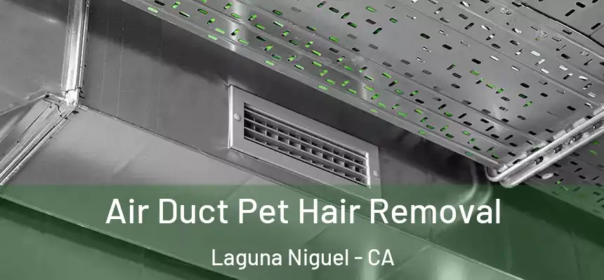 Air Duct Pet Hair Removal Laguna Niguel - CA