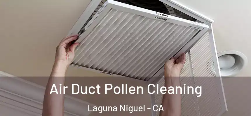 Air Duct Pollen Cleaning Laguna Niguel - CA