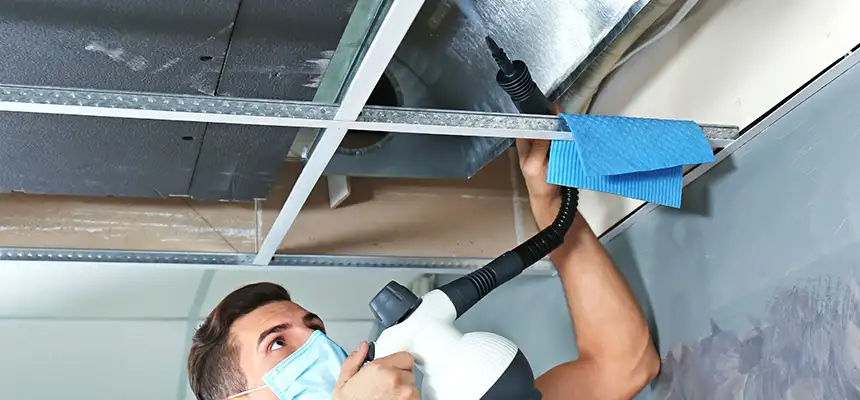 Our Air Duct Rodent Removal Services in Laguna Niguel, CA