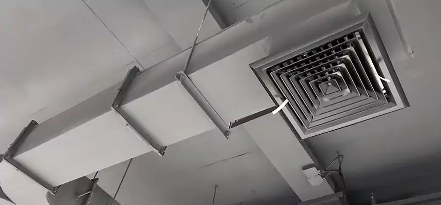 Restorative Allergy Relief Vent Cleaning – Coil, Blower & Housing Detail in Laguna Niguel