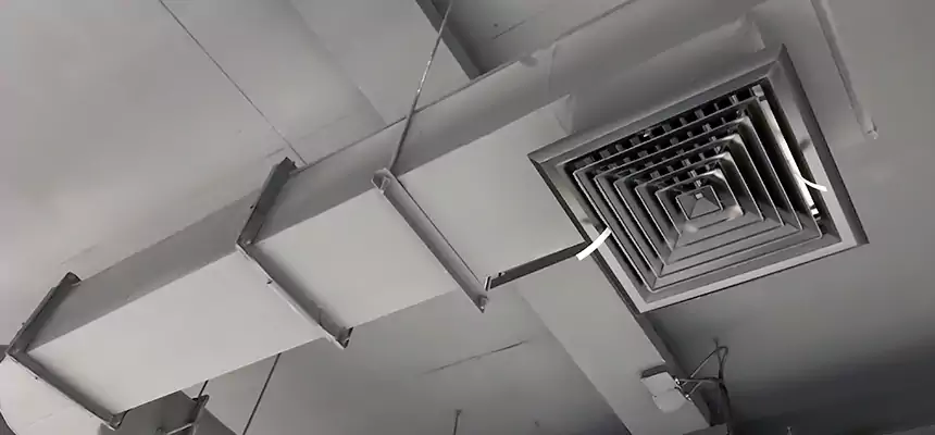 Our Pest Removal From Ducts Services in Laguna Niguel, CA