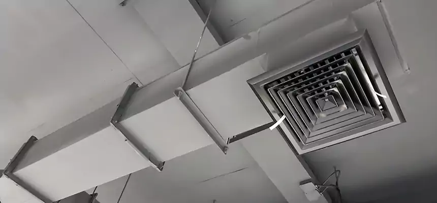 Our Rodent Droppings In Vents Services in Laguna Niguel, CA