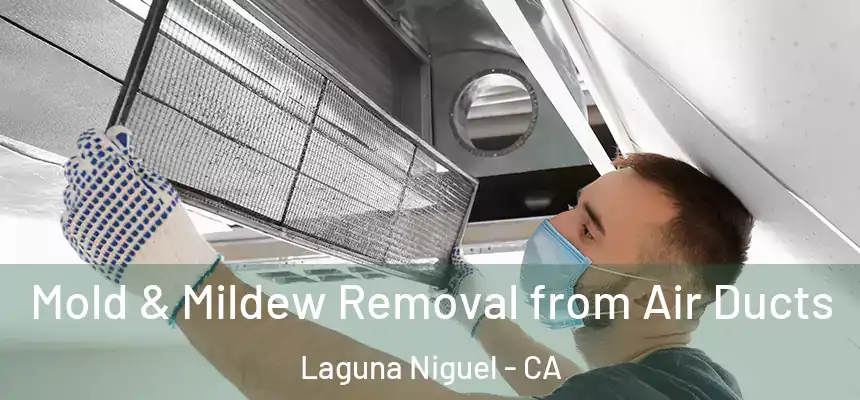 Mold & Mildew Removal from Air Ducts Laguna Niguel - CA