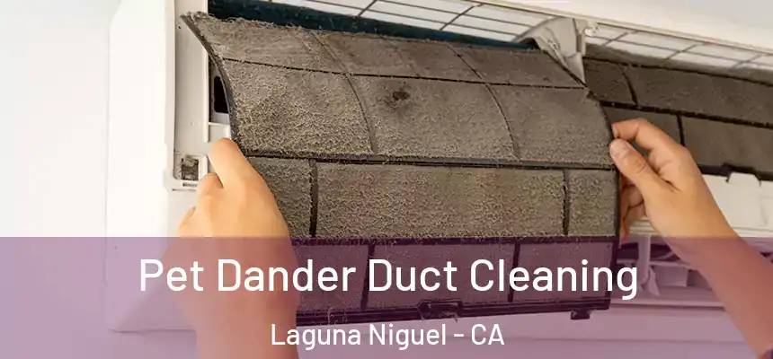 Pet Dander Duct Cleaning Laguna Niguel - CA