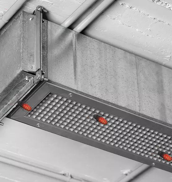 About Air Duct Cockroach Removal in Laguna Niguel, CA