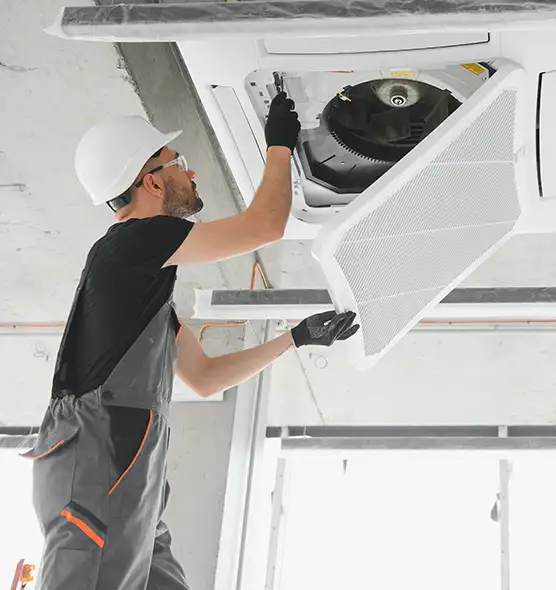 About Air Duct Rodent Removal in Laguna Niguel, CA