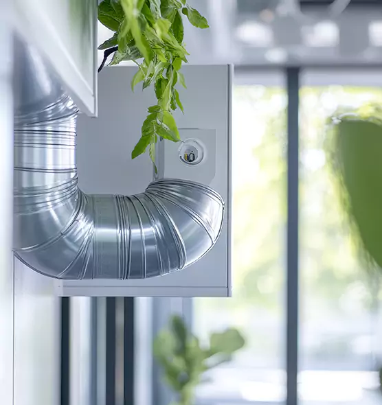 Professional Eco-Safe Dryer Vent Cleaning in Laguna Niguel, CA