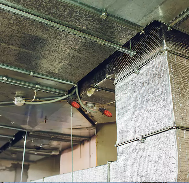 Why Homeowners & Businesses Trust Us in Laguna Niguel, CA?