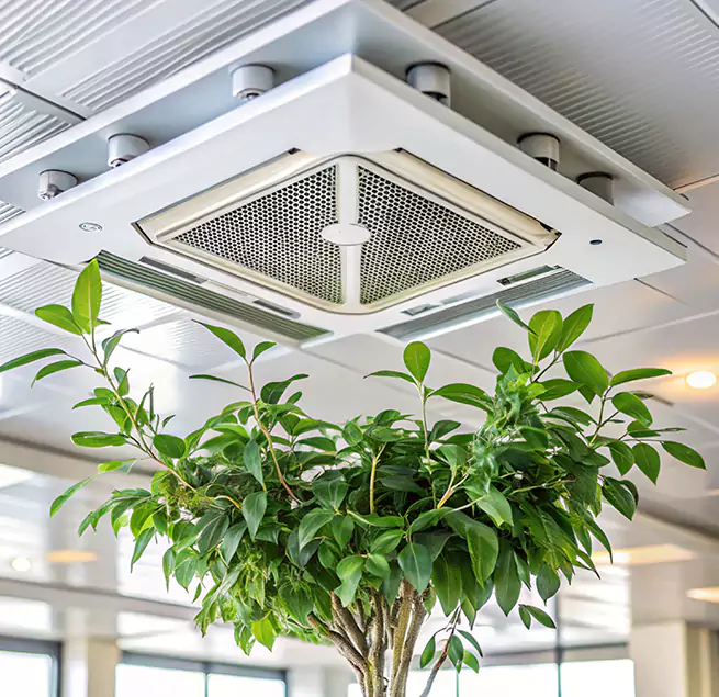 Why Homeowners & Businesses Trust Us in Laguna Niguel, CA?