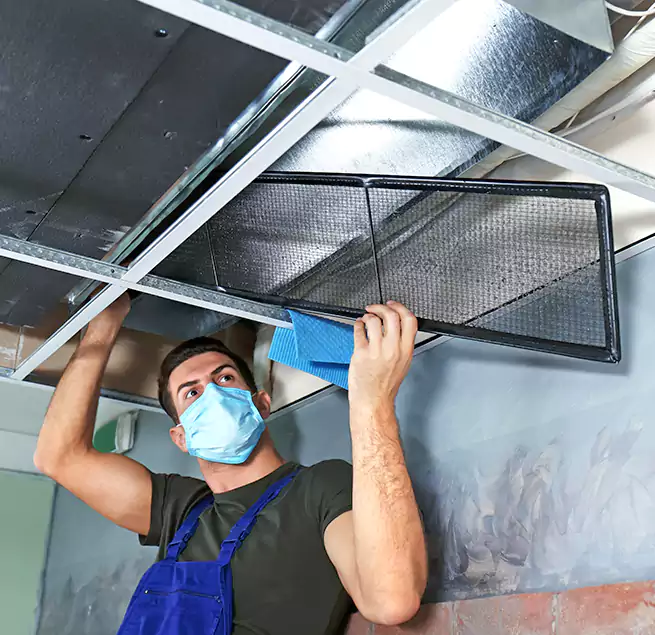 Why Homeowners Businesses Trust Us in Laguna Niguel, CA